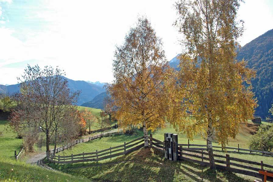 Kreuzweg Virgen